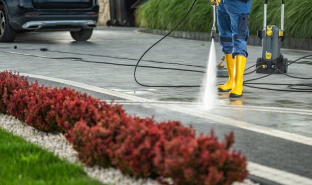 Best Post-Construction Pressure Washing  in Walce Ridge, LA